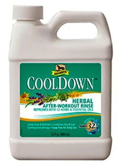 Absorbine CoolDown After Workout Rinse - 946ml
