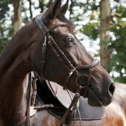 Acavallo Allegoria Anatomical Bridle - Brown Full Size