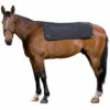 Back On Track Therapeutic Back Pad - Black -The Horse Care Shop back on track therapeutic back pad black 76887.1644298234