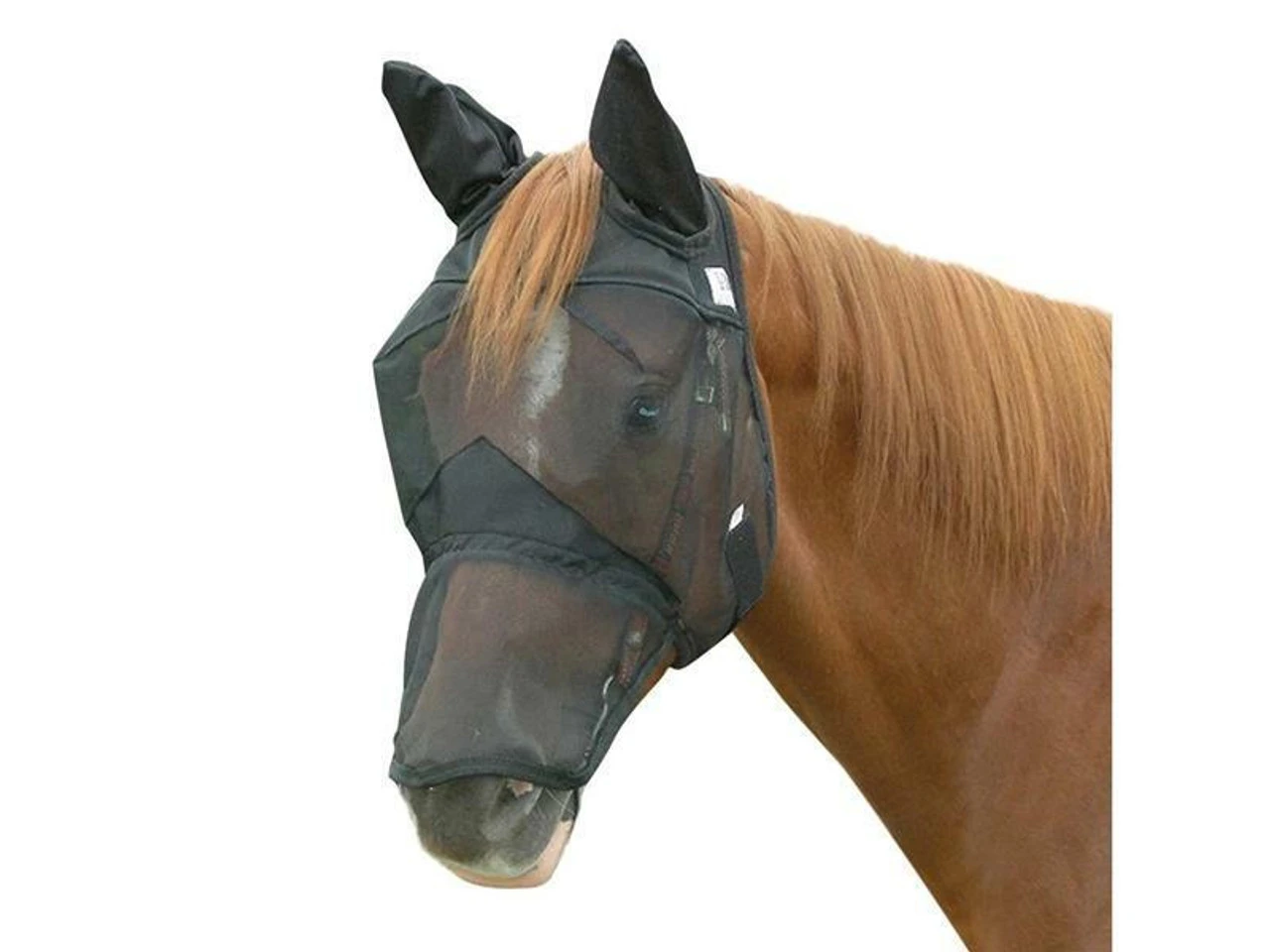 Cashel Crusader Quiet Ride Fly Masks (Riding Fly Mask) 3 Cashel Crusader Quiet Ride Fly Masks (Riding Fly Mask)