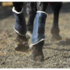 Clarendon Pro Work Brushing Boots - Navy Size 2 -The Horse Care Shop clarendon equestrian clarendon pro work brushing boots 27900.1653728924