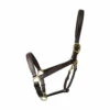 Coldstream Leather Padded Head Collar -The Horse Care Shop coldstream leather padded head collar 71849.1646114331