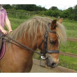 EquiAmi Grass Reins For Ponies