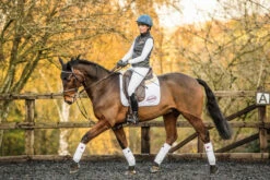 EquiAmi Lunging And Riding Aid Combi Set -The Horse Care Shop equi ami equiami lunging and riding aid combi set 16632.1645595305