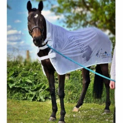Equi-N-Ice Cooling Rug - One Size -The Horse Care Shop equi n ice cooling rug one size 60842.1656324141