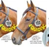 Equi Disc Bridle Numbers - 4 Number -The Horse Care Shop equidisc equi disc bridle numbers 4 number 42162.1631523034