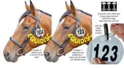 Equi Disc Bridle Numbers - 4 Number