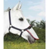 Equilibrium Field Relief Muzzle Protector -The Horse Care Shop equilibrium equilibrium field relief muzzle protector 24720.1631697398