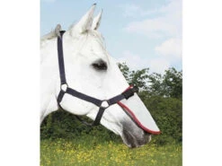 Equilibrium Field Relief Muzzle Protector