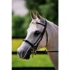 Equilibrium Net Relief Muzzle Nets 2 Equilibrium Net Relief Muzzle Nets -The Horse Care Shop equilibrium equilibrium net relief muzzle nets 14058.1631696659