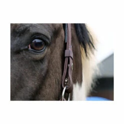 Equilibrium Stellar Safety Headcollar -The Horse Care Shop equilibrium equilibrium stellar safety headcollar 64339.1631409278