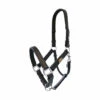 Equilibrium Stellar Safety Headcollar -The Horse Care Shop equilibrium equilibrium stellar safety headcollar 67448.1631410643