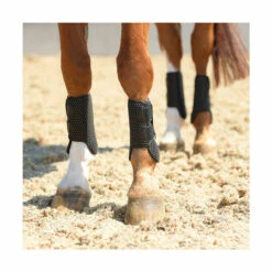 Equilibrium Tri Zone Allsport Boots - All Colours 13 Equilibrium Tri Zone Allsport Boots - All Colours -The Horse Care Shop equilibrium tri zone allsport boots all colours 84884.1649662129