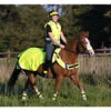 Equisafety High Visibility Exercise Sheets -The Horse Care Shop equisafety equisafety high visibility exercise sheets 43108.1631696179