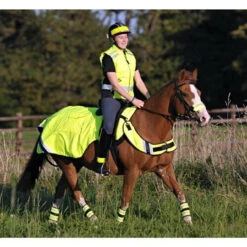 Equisafety High Visibility Exercise Sheets