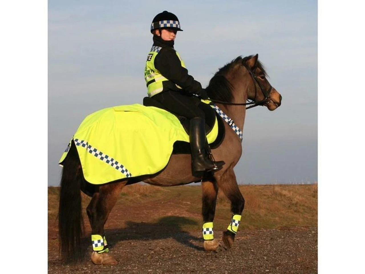 Equisafety Polite Waterproof Exercise Sheets 3 Equisafety Polite Waterproof Exercise Sheets