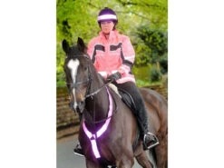 Equisafety Reflective Neck Bands (Martingale)