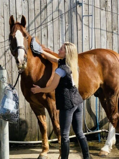 Equishine Drying Mitt And Towel Set -The Horse Care Shop equishine drying mitt and towel set 99960.1655026587