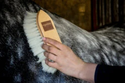 EquiShine Pro Flick Grooming Brush -The Horse Care Shop equishine equishine pro flick grooming brush 74489.1631364986