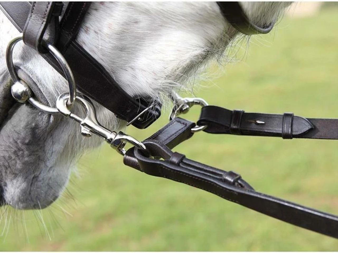 Dragonfly Rein Attachments - Encourage Softness 3 Dragonfly Rein Attachments - Encourage Softness