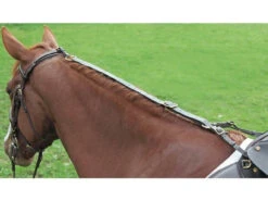 English Leather Daisy Reins