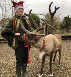 English Leather Reindeer Collars With Bells 10 English Leather Reindeer Collars With Bells -The Horse Care Shop frome saddlery english leather reindeer collars with bells 17080.1631523747