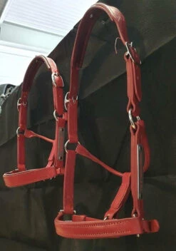 Hand Made English Leather Headcollars - Red