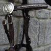 Hand Made English Leather In Hand Bridle -The Horse Care Shop frome saddlery hand made english leather in hand bridle 39447.1631524366