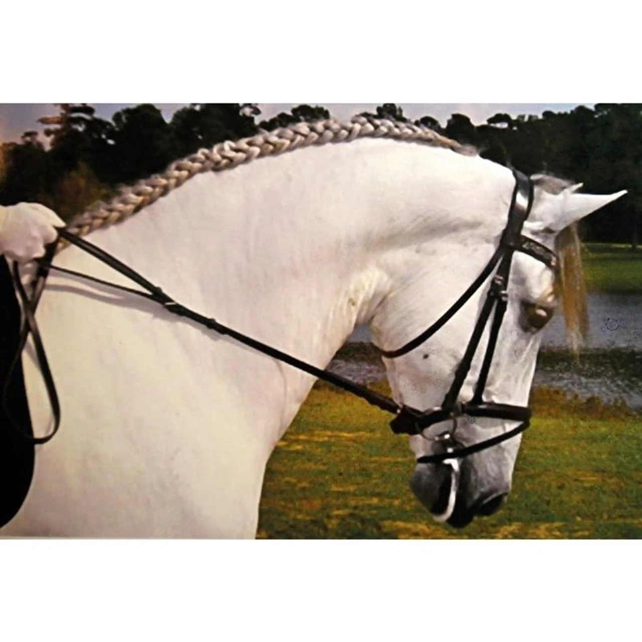 Hand Made English Leather Precision Reins 5 Hand Made English Leather Precision Reins - Image 3