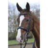 GFS Patent Rolled Weymouth Bridles - Black Cob 1 GFS Patent Rolled Weymouth Bridles - Black Cob -The Horse Care Shop gfs gfs patent rolled weymouth bridles black 32521.1631697505
