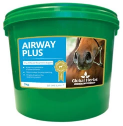 Global Herbs Airway Plus Powder - All Sizes