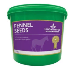 Global Herbs Fennel Seeds - All Sizes