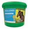Global Herbs PolleneX Powder - All Sizes 1 Global Herbs PolleneX Powder - All Sizes -The Horse Care Shop global herbs global herbs pollenex powder all sizes 23827.1631629588