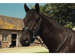 Heritage Comfort Bridles With Flash Noseband (127)
