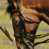 Heritage Comfort Double Bridle With Crank Noseband -The Horse Care Shop heritage bridles heritage comfort double bridle with crank noseband 71459.1631695603