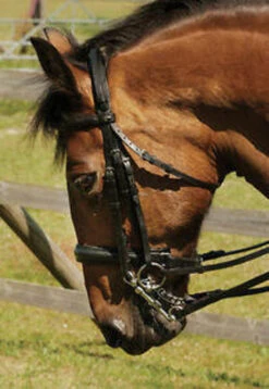 Heritage Comfort Double Bridle With Crank Noseband