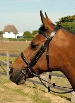Heritage English Leather Cavesson Bridles (122)