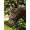 Heritage English Leather Double Bridle - Black Pony -The Horse Care Shop heritage bridles heritage english leather double bridle 123 21805.1631695463