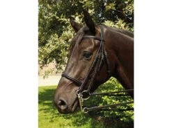 Heritage English Leather Double Bridle - Black Pony