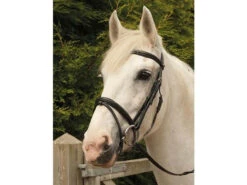 Heritage English Leather Flash Bridles (121)