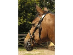 Heritage English Leather In Hand Bridles (124)