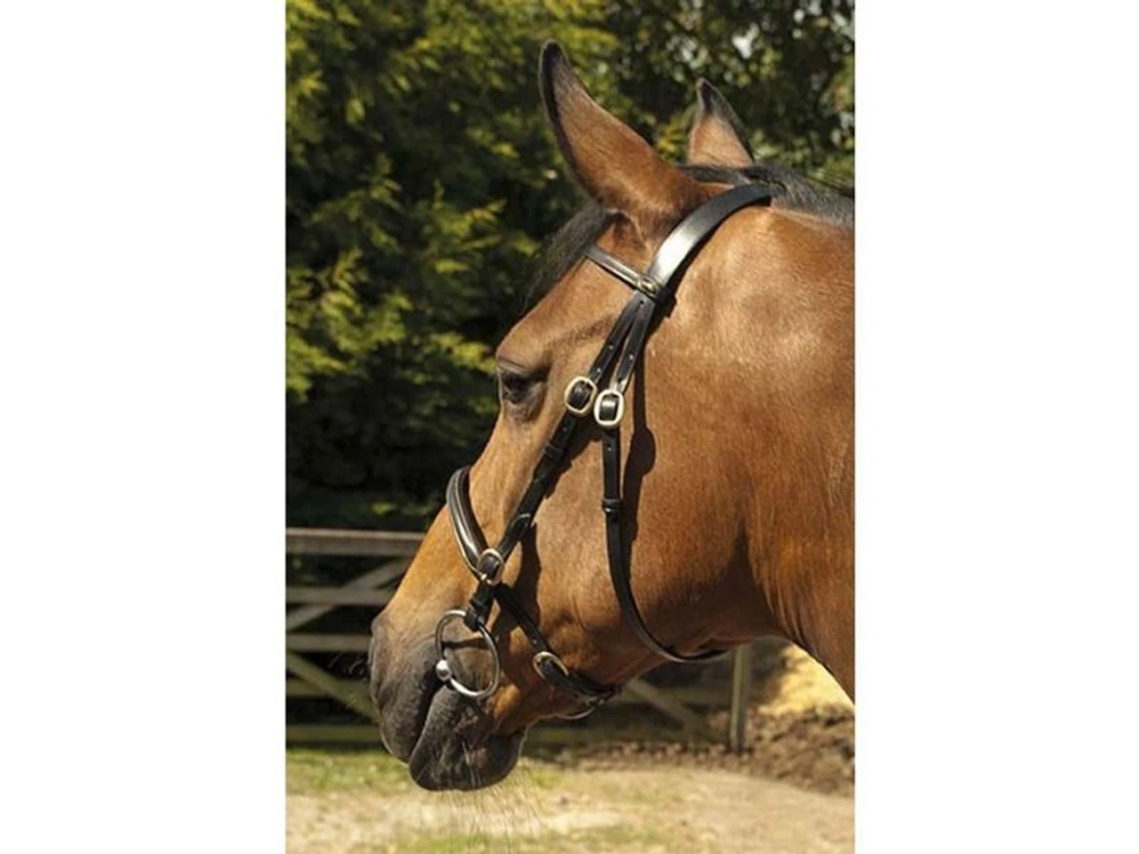 Heritage English Leather In Hand Bridles (124) 3 Heritage English Leather In Hand Bridles (124)
