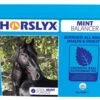 Horslyx Mint Horse Lick - All Sizes -The Horse Care Shop horslyx mint horse lick all sizes 18197.1667742874