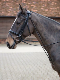 Hy Chambon Lunging Aid - Black