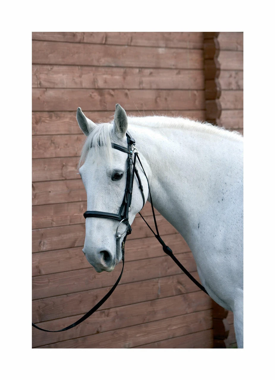 Hy Chambon Lunging Aid - Black 4 Hy Chambon Lunging Aid - Black - Image 2