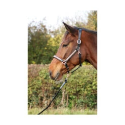 Hy Rosciano Rose Gold Diamante Leather Headcollar -The Horse Care Shop hy equestrian hy rosciano rose gold diamante leather headcollar 26696.1666705012