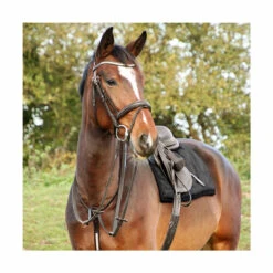 Hy Rosciano Rose Gold Flash Bridle - Black Or Brown 9 Hy Rosciano Rose Gold Flash Bridle - Black Or Brown -The Horse Care Shop hy equestrian hy rosciano rose gold flash bridle black or brown 16673.1650699642