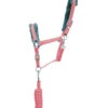 Hy Sport Active Head Collar & Lead Rope Sets - All Colours