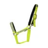 Hy Fieldsafe Headcollars - Reflective Yellow -The Horse Care Shop hy fieldsafe headcollars reflective yellow 29861.1694306556