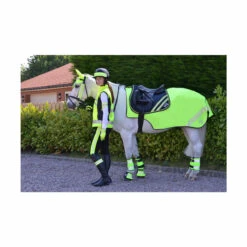 Hy High Vis Reflector Mesh Exercise Sheet - All Colours 8 Hy High Vis Reflector Mesh Exercise Sheet - All Colours -The Horse Care Shop hy high vis reflector mesh exercise sheet all colours 12174.1647584556